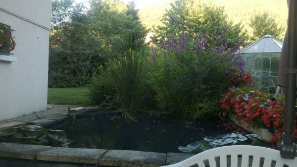 Chambres d'hôtes Gîte de France N°198601 (La Contamine)