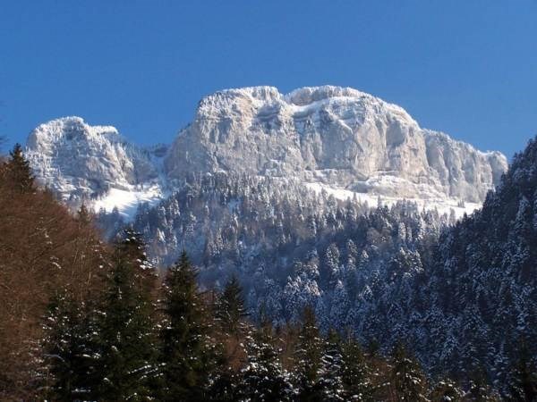 Gîte de France N°303009 (Petit montoir)