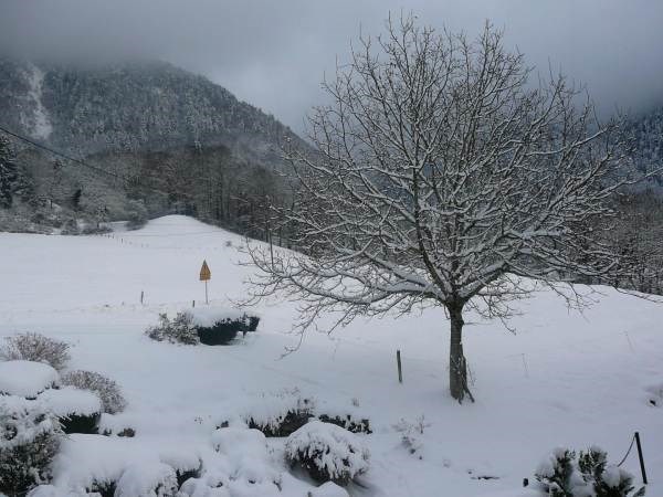 Gîte de France N°303010 (Grand montoir)