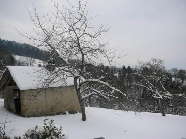 Gîte de France N°303010 (Grand montoir)