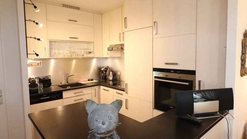 PARC DES RAISSES PARC DES RAISSES