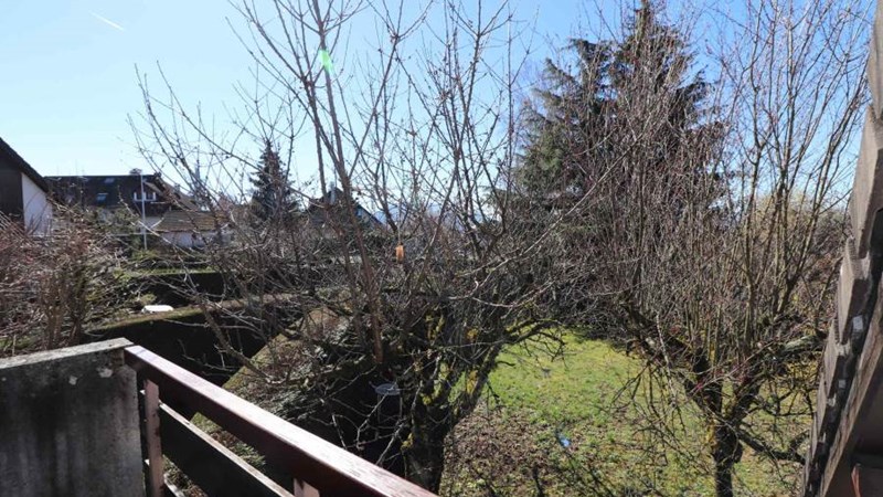 LES BOSSONS LES BOSSONS