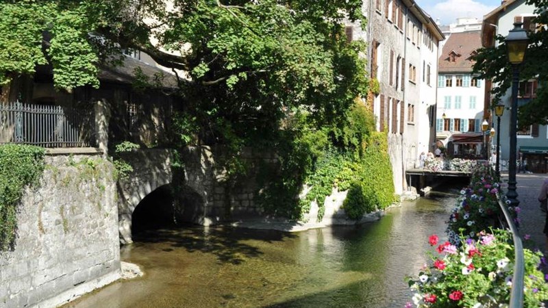 LES BOSSONS LES BOSSONS