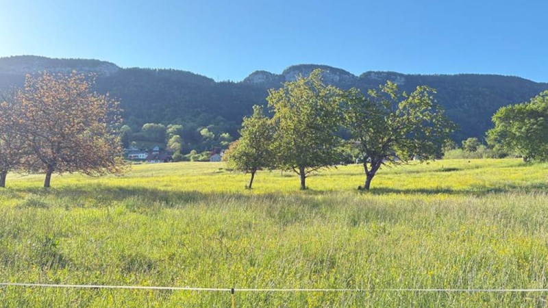 LES PRALETS LES PRALETS