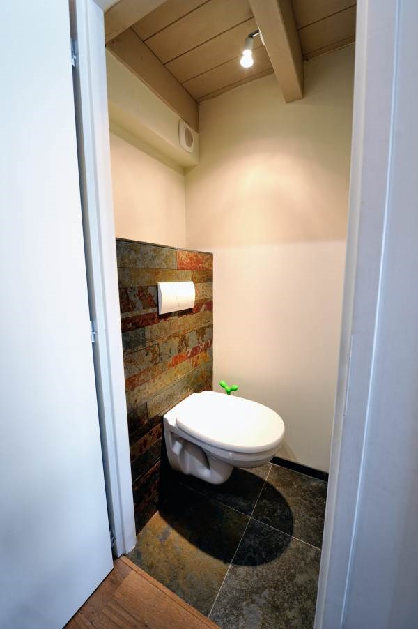 TAKE ME HOME LE CYGNE