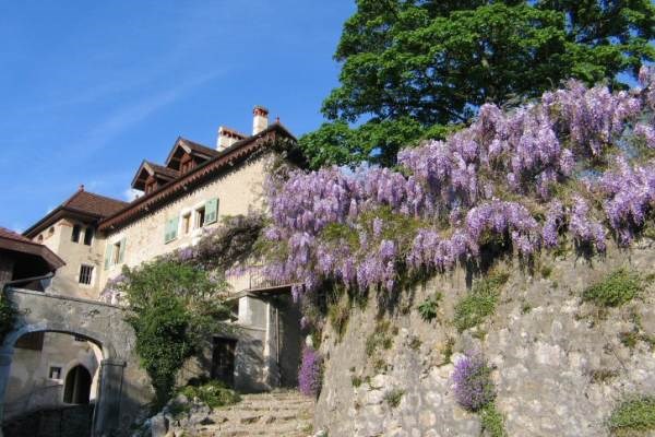 La Vallombreuse
